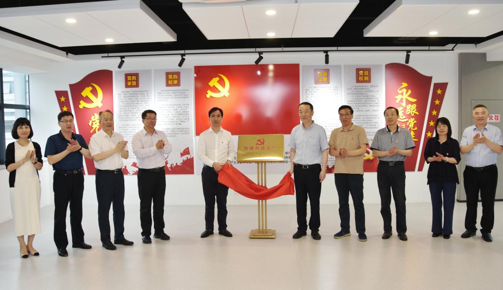太阳集团网tyc9728党委同设计院有限公司党总支开展联学共建